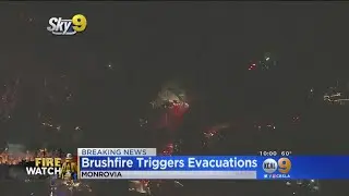 Firefighters Aggressively Knock Down Brush Fire In Monrovia