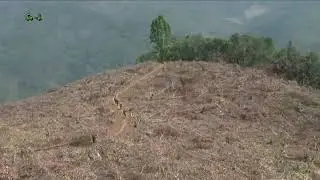 Chatric Kl. vill. Jungle felling #Sokhayui