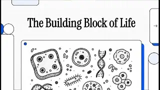 The Building Block of Life