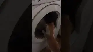 Любит стиралка