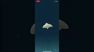 Pok&eacute;mon Go Shiny Flower Crown Togepi Evolution!