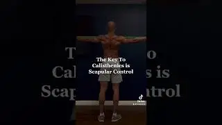 Calisthenics Short - Scapula Control