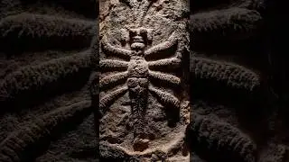 Abydos Carvings: Did the Ancients Depict Helicopters?