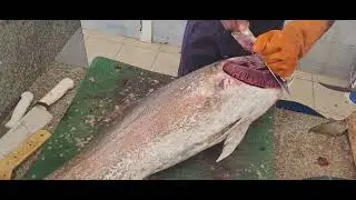 Trevally Giant $200 Filleting|| Trevally Cutting Large Size|| How Fillet Process for Large Trevally