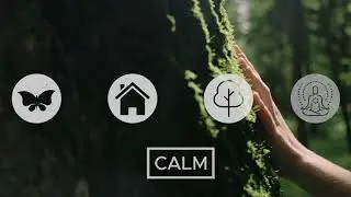 CALM Architecture | Ethical & Envirnomental Designs