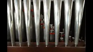 In Joyful Praise by A. Laurence Lyon | Jean Farris Fuller on a Custom Johannus Hybrid Organ
