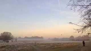 Bushy: Just a Run in the Park?