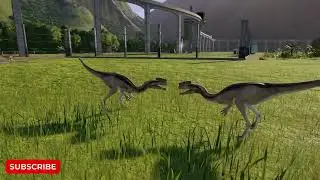DinoSourceTV : Enter - Proceratosaurus