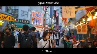 【Lumix S5】上野 Ueno | No Copyright Video 【4K HLG】