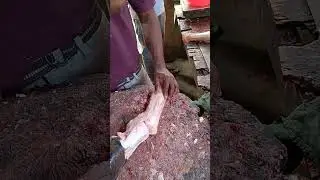 Noli #beef #beef #fishcutting #bbqmeat #beefmeat #food #beefburyani #meat #fish #steakmeat