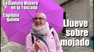 La Gaviota Viajera #79: En la Toscana, 