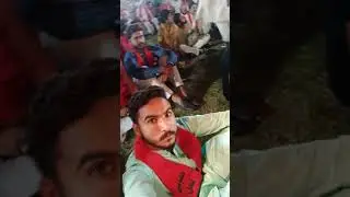 4 Shahban (4)