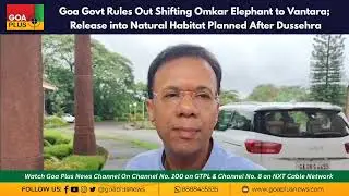 Goa Govt Rules Out Shifting Omkar Elephant to Vantara; Release into Natural Habitat 