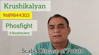 બટાટાના  સ્કેબ રોગનુ નિયંત્રણ.  Control  of Potato Scabe. आलुमे स्केब रोग के रोकथाम के आसानसे उपाय।