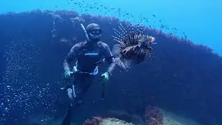 Cleaning the Mediterranean Sea of invasive species 🐟 🐠 🎣 🐡