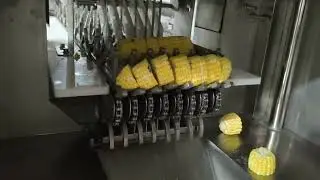 Large Feeding Inlet Band Saw Frozen Sweet Corn Cutting Machine