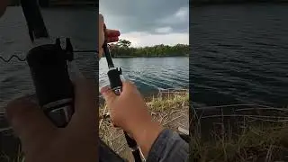 #33321 #magiqych #vlog #shorts