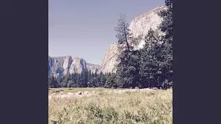 Slip Sliding Away
