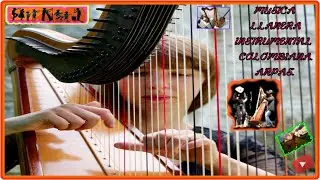 Música Instrumental, Folclor Latinoamericano, Arpas.
