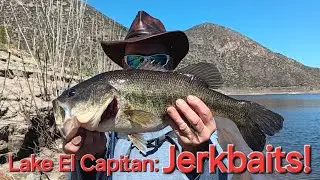 El Capitan Reservoir: Bfs Bass fishing! Jerkbaits!
