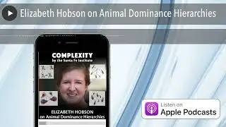 Elizabeth Hobson on Animal Dominance Hierarchies