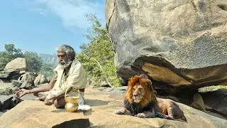 संत की तपस्या का चमत्कारी प्रभाव जंगली जानवर बने सेवक