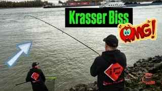 DU GLAUBST NICHT, was Aal-Uwe hier nach 10 Minuten beim ZANDER-ANGELN mit K&Ouml;DERFISCH passiert!!