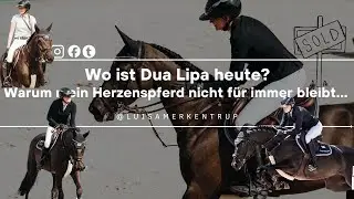 Herzenspferd verkaufen &ndash; warum ich diese Entscheidung getroffen habe 🐴 📖 ❤️