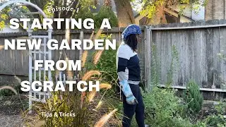 Starting A New Garden From Scratch Episode 1//Tips & Tricks 🪴🌸