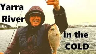 Fishing the Yarra River at Port Melbourne