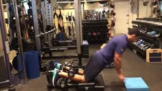 Russian Hamstring Curl