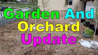 No  1345 &ndash; Prepper Garden Update #cfc  #preppergarden