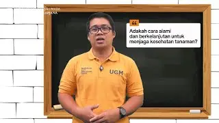 Potensi Bakteri Endofit dari Cangkring sebagai Bioagen Pertumbuhan Tanaman Cabai