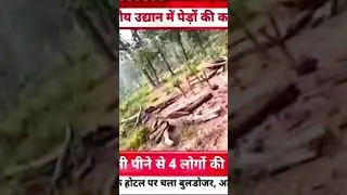 Breking news: कहा है वह लोग और क्या है उनका काम आखिर कहां गए जिम्मेदार जिन्हें सौंपी गई है वनों।