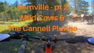 Kernville part 2 - Angry Cows and the Full Cannell Plunge