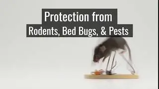 Pest Control Bridgewater Township | Pest Control Exterminator Services in Bridgewater Township