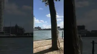 Nieuwe Maas river in Rotterdam