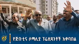 ጠቅላይ ሚኒስትር ዐቢይ አሕመድ (ዶ/ር) ለጅቡቲና ሶማሊያ ፕሬዚዳንቶች ያደረጉት አቀባበል