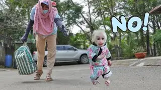 So funny! Lucky didn't recognize his mother, thinking she was a stranger