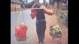 CARTA: Childrearing in Evolution--Birth and the Newborn Infant Apes and Humansand Born Human