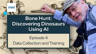 Data Collection and Training | Bone Hunt: Discovering Dinosaurs with AI | Intel Software