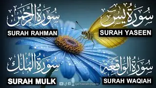 Surah Yasin ❤️ (Makki), Rahman, Waqiah & Mulk | Ep 314 | Daily Quran Recitation & Blessings