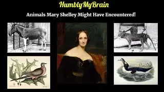 S02E19 - Frankenstein's Author & Real Extinct Beasts: Animals Mary Shelley Might Have Encountered!