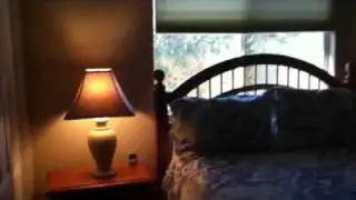 Video two 77512 Ashberry