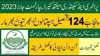 Primary & Secondary Healthcare Department Punjab Jobs 2023 | Govt Jobs in Punjab THQ Hospitals 2023
