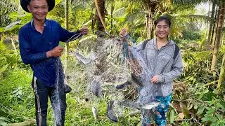 Đúng là địa điểm này cá bắt hoài cũng không hết một mẻ lưới dư ăn // UQMT