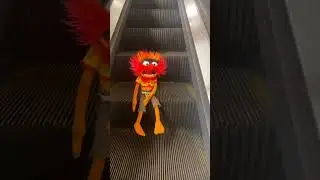 Testicles are stuck #animal #animalfunny #funny #plushie #comedy #help #puppet #nyc #newyork