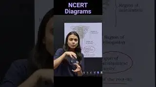 Identify The Regions Of The Root-Tip | Biology NEET_NCERT important Diagrams for NEET #ncert #neet