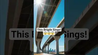 The Bridge That Sings When the Wind Blows 🎶