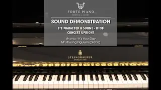 It's Your Day | Steingraeber & Sohne #K138 (Concert upright) Sound Demonstration | Forte Piano H&L